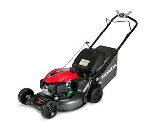 Productores de Pasto